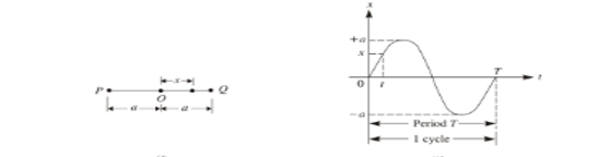 Simple Harmonic Motion Graph